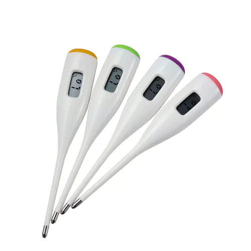 Digital Oral Thermometer